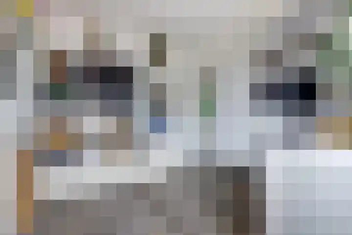 Platte Molendijk 8 Hoogvliet Rotterdam thumbnail 13
