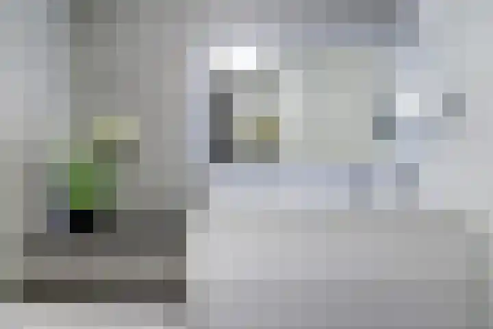 Platte Molendijk 8 Hoogvliet Rotterdam thumbnail 15
