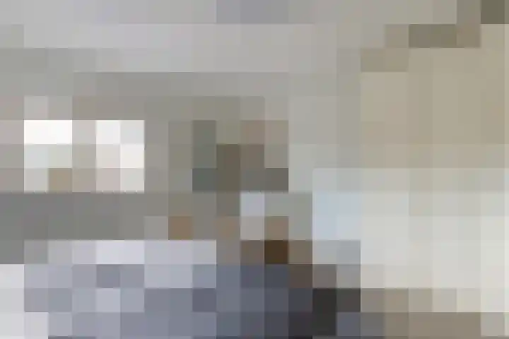 Platte Molendijk 8 Hoogvliet Rotterdam thumbnail 18