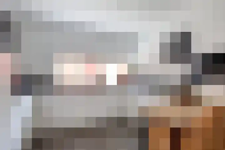 Platte Molendijk 8 Hoogvliet Rotterdam thumbnail 4