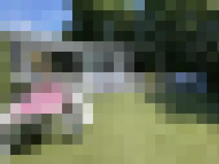 Plattedijk 25 11 Lemmer thumbnail 13