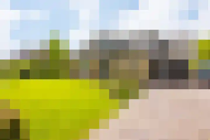 Plattedijk 43 Lemmer