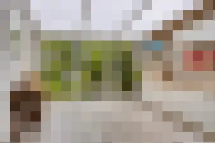 Platteelstraat 17 Veldhoven thumbnail 13