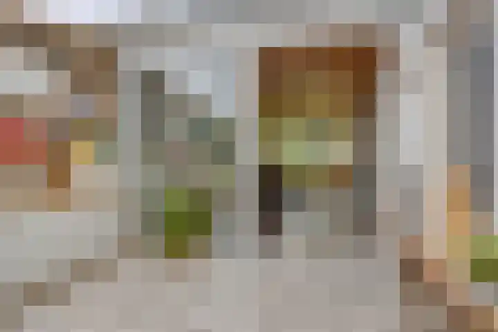 Platteelstraat 17 Veldhoven thumbnail 14