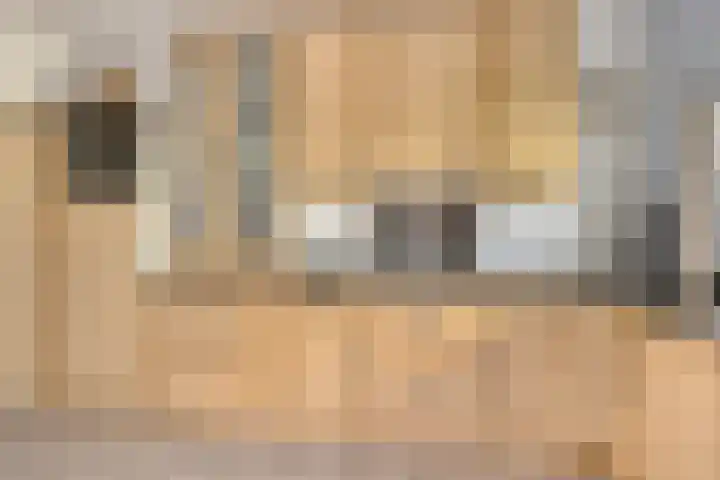 Platteelstraat 17 Veldhoven thumbnail 16