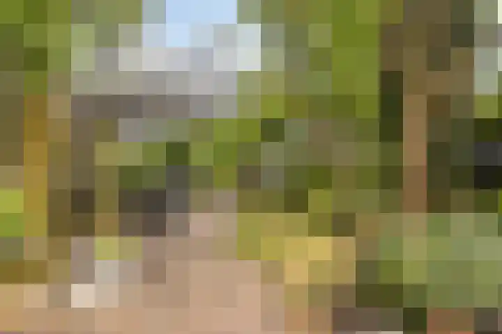 Platteelstraat 17 Veldhoven thumbnail 38