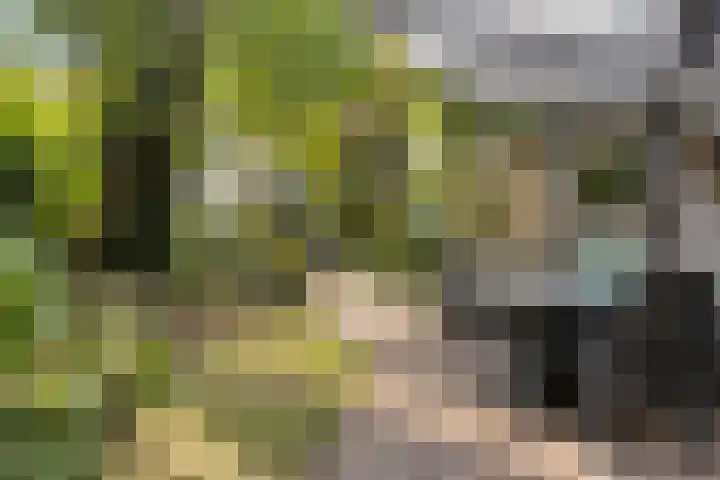 Platteelstraat 17 Veldhoven thumbnail 4