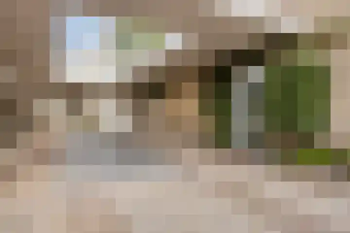Platteelstraat 17 Veldhoven thumbnail 48
