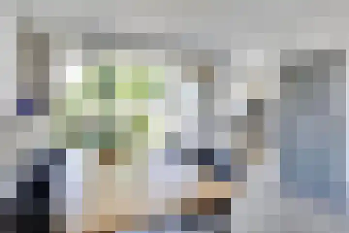 Platteelstraat 23 Veldhoven thumbnail 11