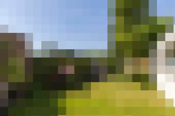 Platteelstraat 23 Veldhoven thumbnail 33