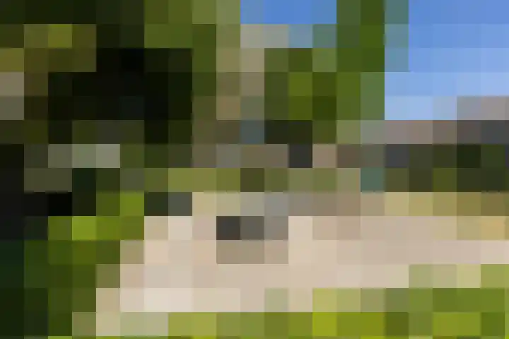 Platteelstraat 23 Veldhoven thumbnail 39