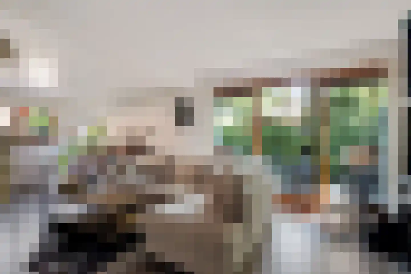 Plattenberg 30 Maarn thumbnail 10