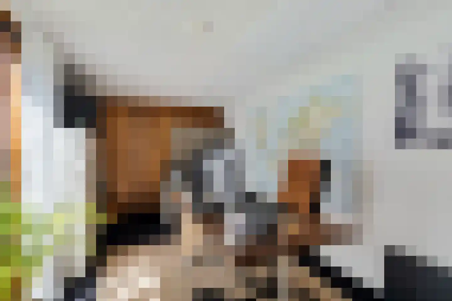 Plattenberg 30 Maarn thumbnail 35