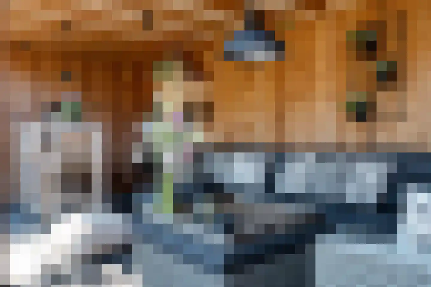 Plattenberg 30 Maarn thumbnail 40