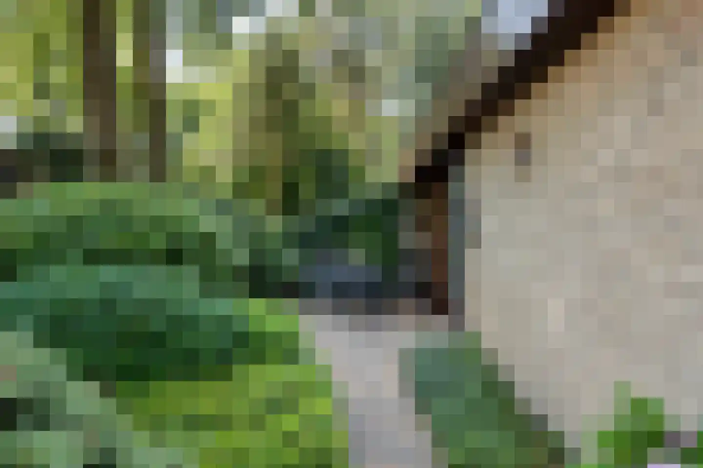 Plattenberg 30 Maarn thumbnail 6