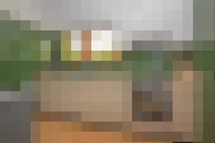 Plattenberg 40 Maarn thumbnail 22