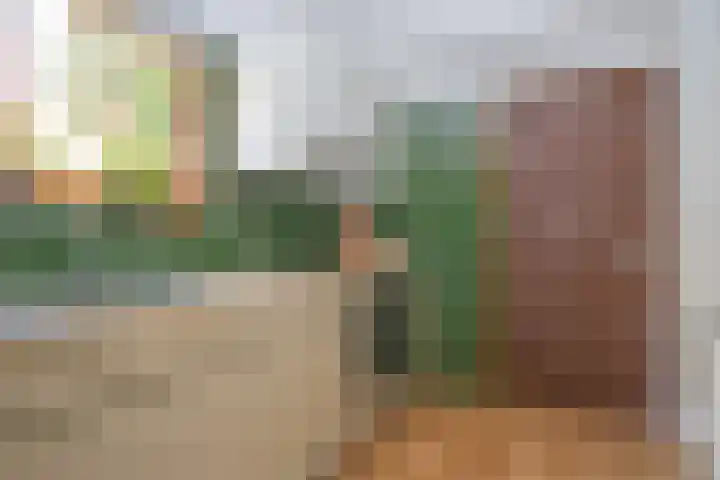 Plattenberg 40 Maarn thumbnail 23