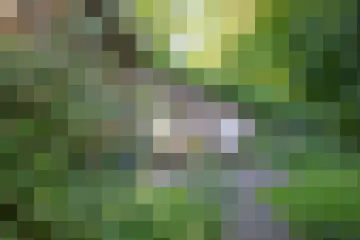 Plattenberg 40 Maarn thumbnail 42