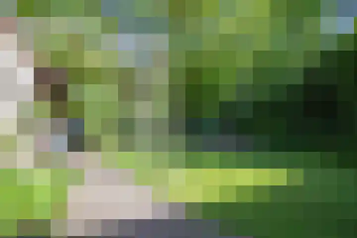 Plattenberg 40 Maarn thumbnail 43