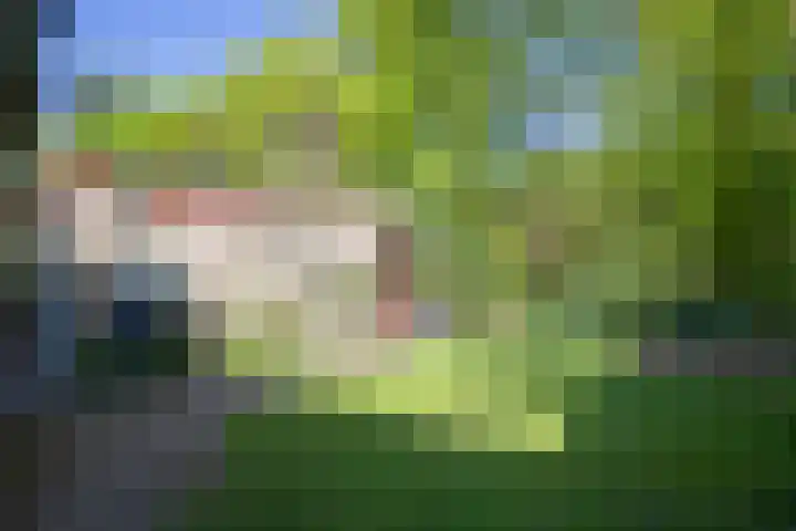 Plattenberg 40 Maarn thumbnail 45