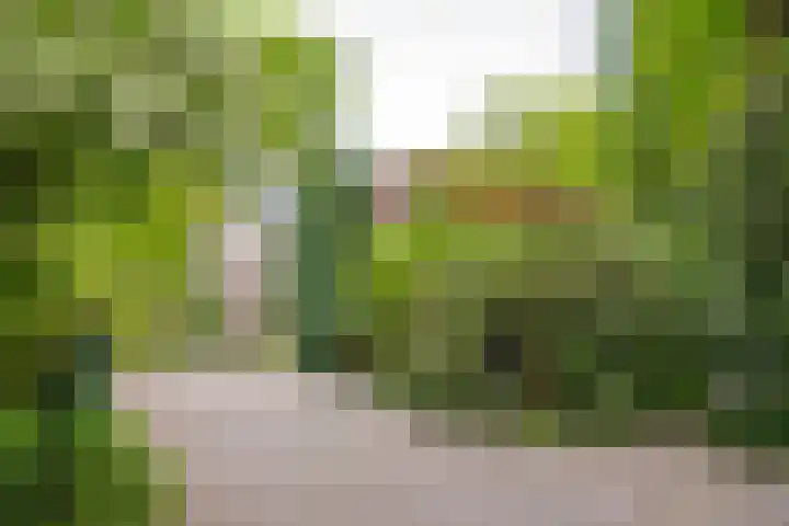 Plattenberg 40 Maarn thumbnail 47