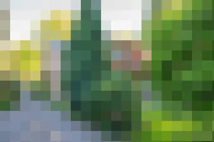 Plattenberg 40 Maarn thumbnail 5