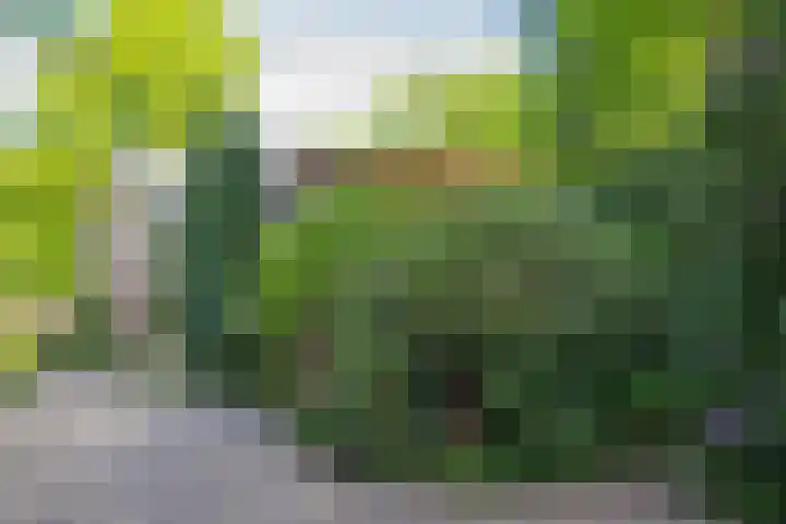 Plattenberg 40 Maarn thumbnail 50
