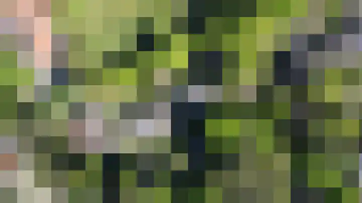 Plattenberg 40 Maarn thumbnail 53