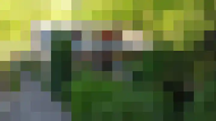 Plattenberg 40 Maarn thumbnail 58