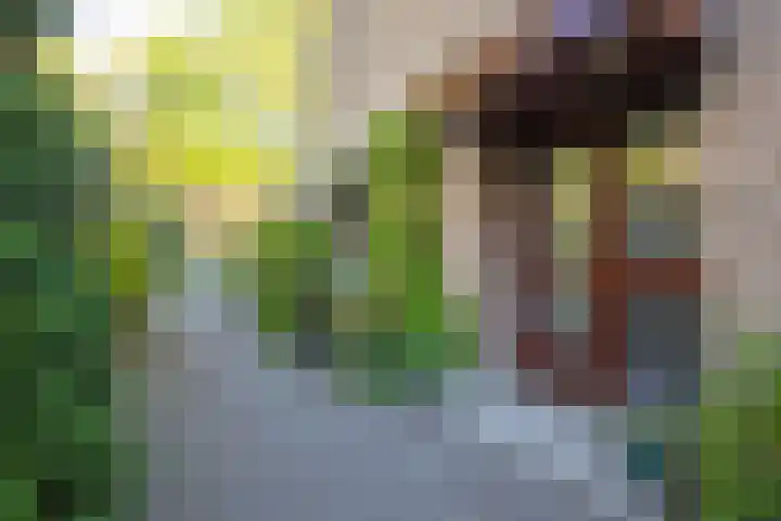 Plattenberg 40 Maarn thumbnail 6