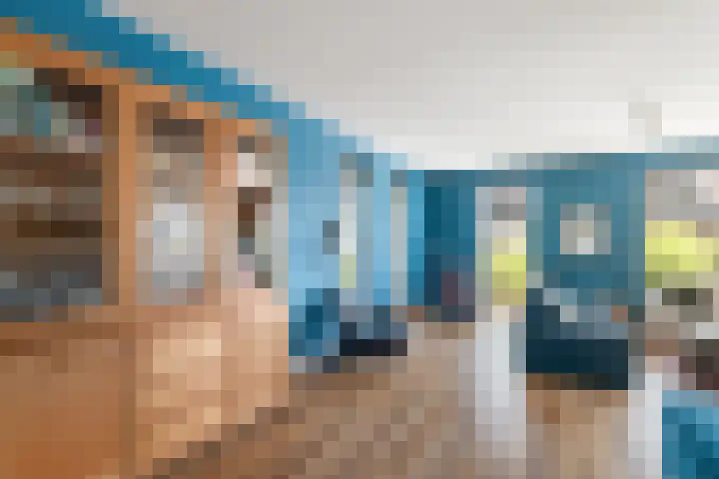 Plattenberg 47 Wijhe thumbnail 12