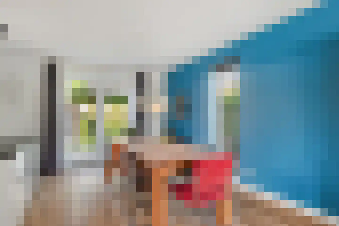 Plattenberg 47 Wijhe thumbnail 14