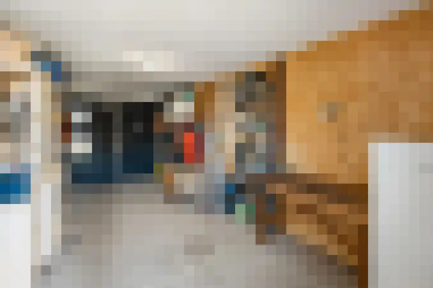 Plattenberg 47 Wijhe thumbnail 38