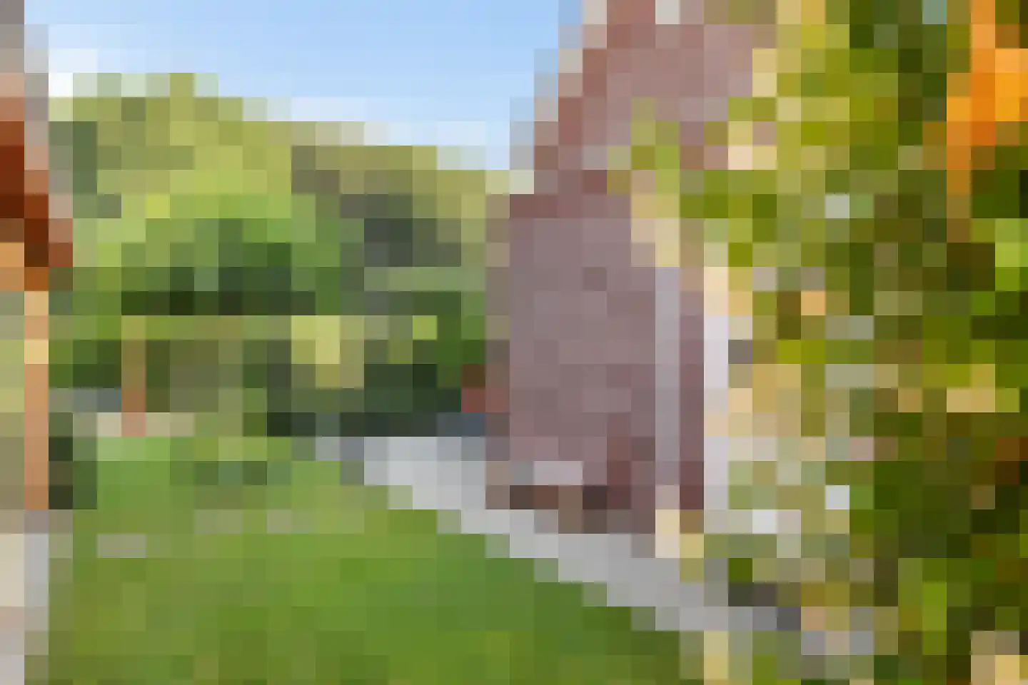Plattenberg 47 Wijhe thumbnail 43