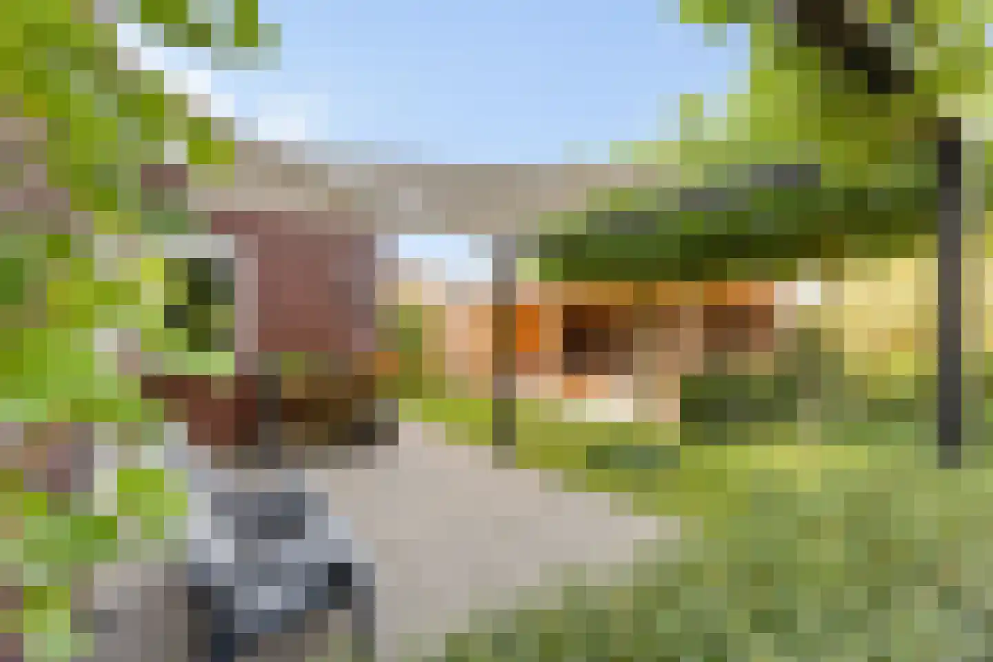 Plattenberg 47 Wijhe thumbnail 45