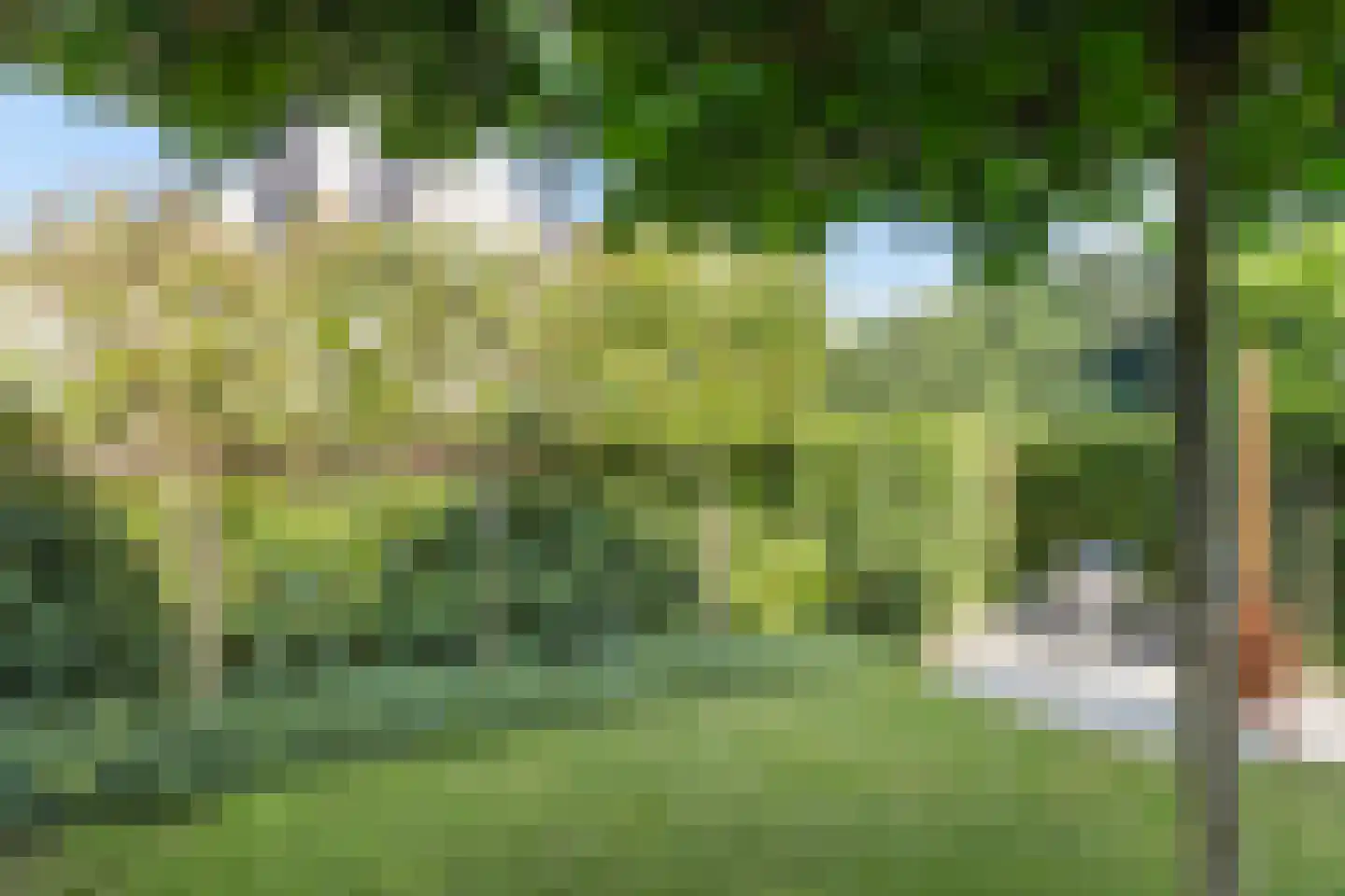 Plattenberg 47 Wijhe thumbnail 48