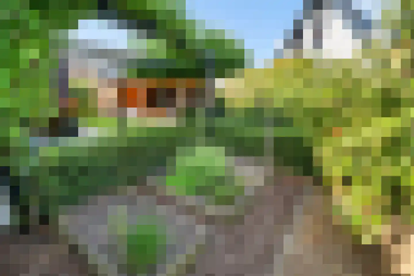 Plattenberg 47 Wijhe thumbnail 49