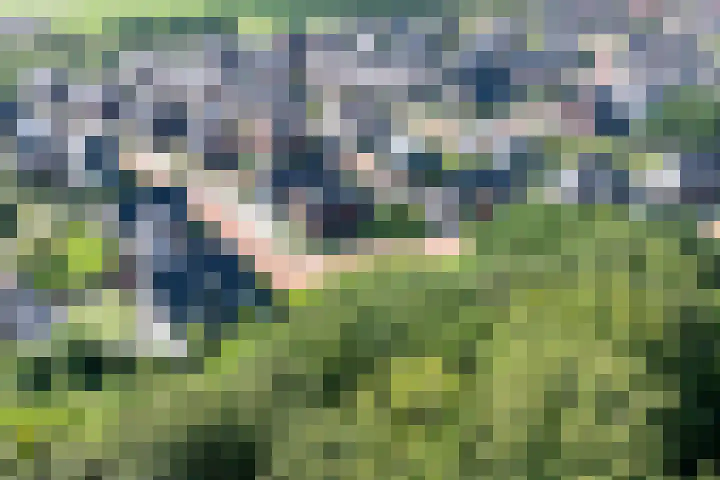 Plattenberg 47 Wijhe thumbnail 52