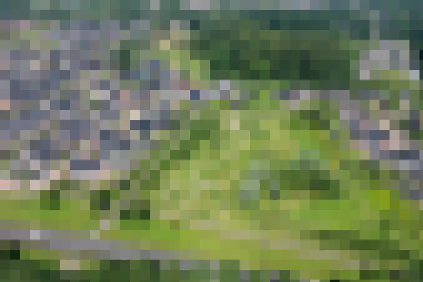 Plattenberg 47 Wijhe thumbnail 53