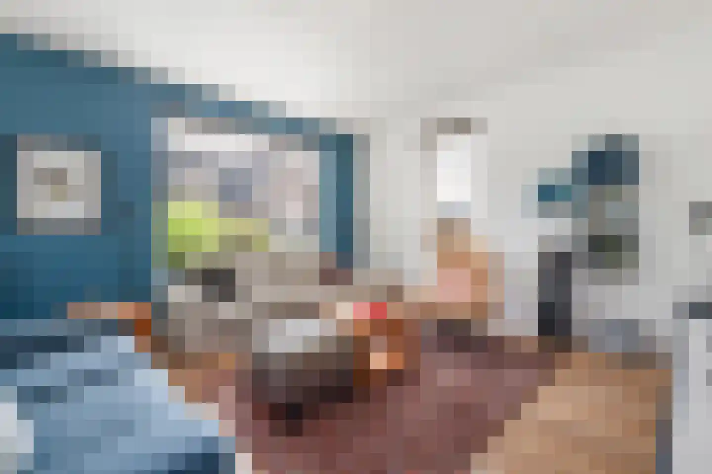 Plattenberg 47 Wijhe thumbnail 7