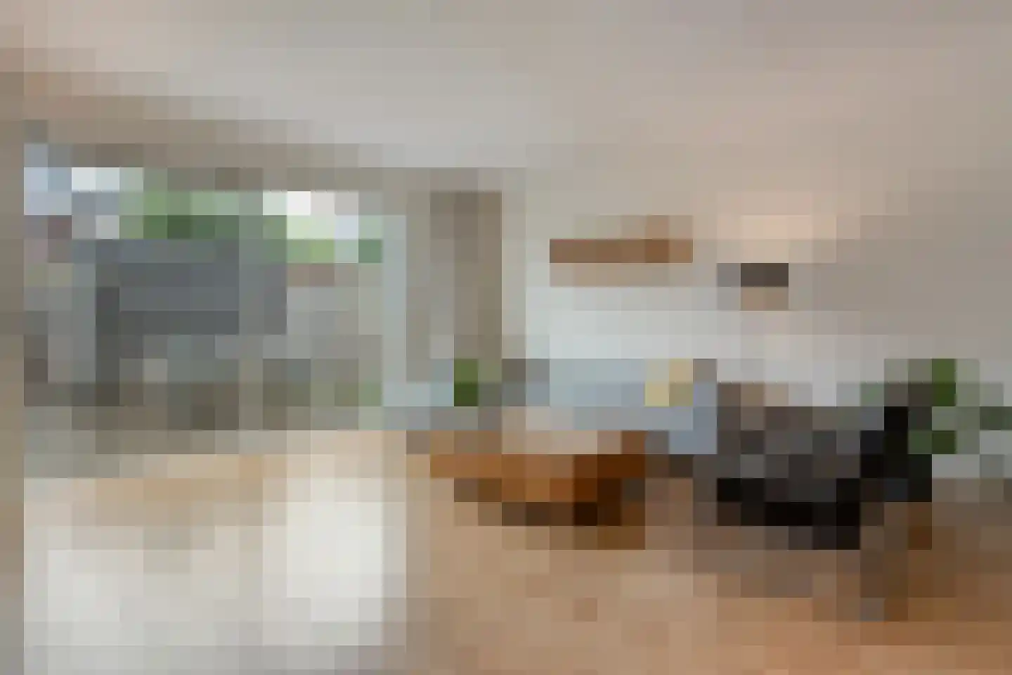 Plattenborgstraat 20 Zwolle thumbnail 10