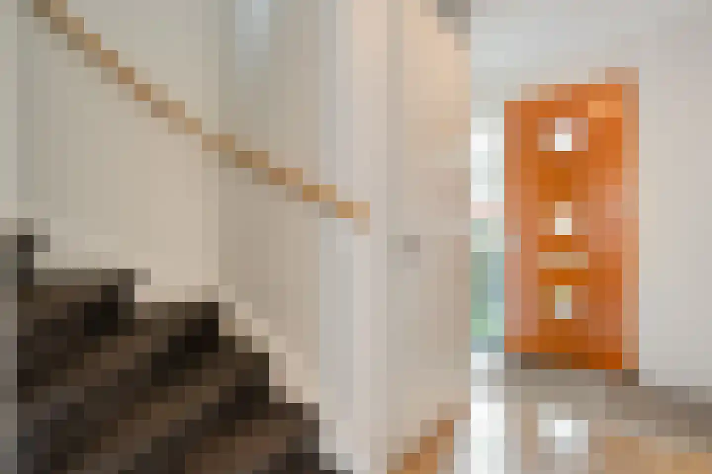 Plattenborgstraat 20 Zwolle thumbnail 22