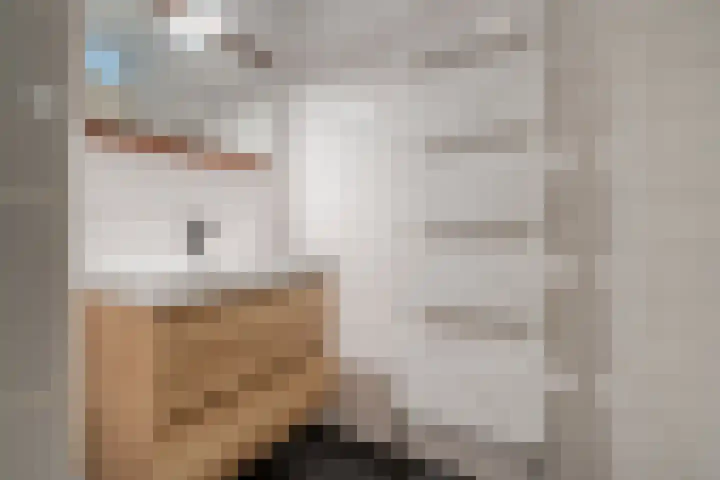 Plattenborgstraat 20 Zwolle thumbnail 31