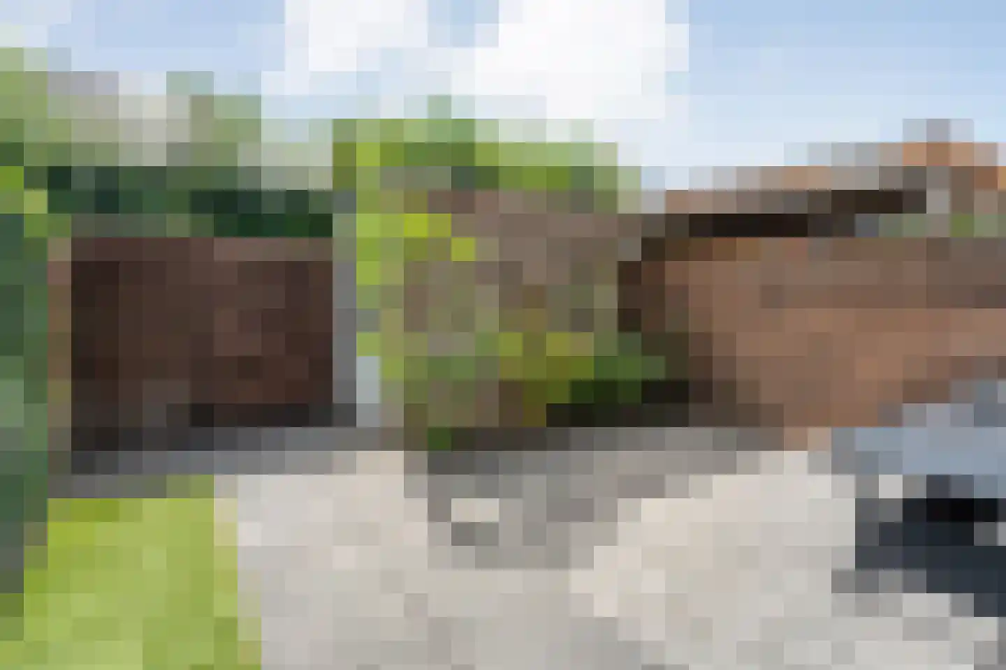 Plattenborgstraat 53 Zwolle thumbnail 38