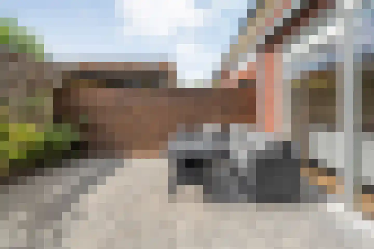 Plattenborgstraat 53 Zwolle thumbnail 38
