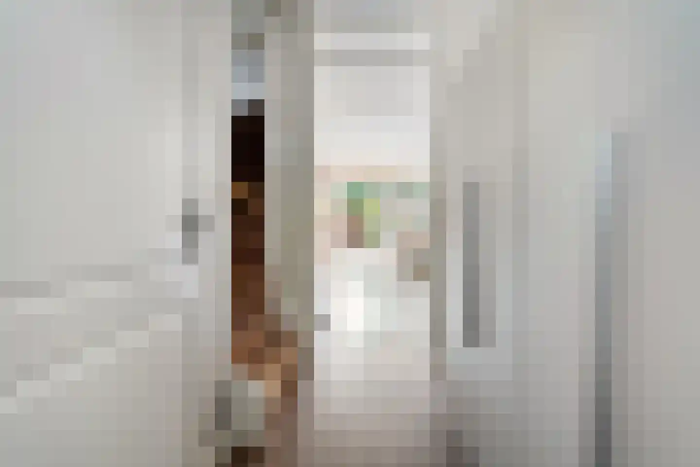 Plattenborgstraat 53 Zwolle thumbnail 5