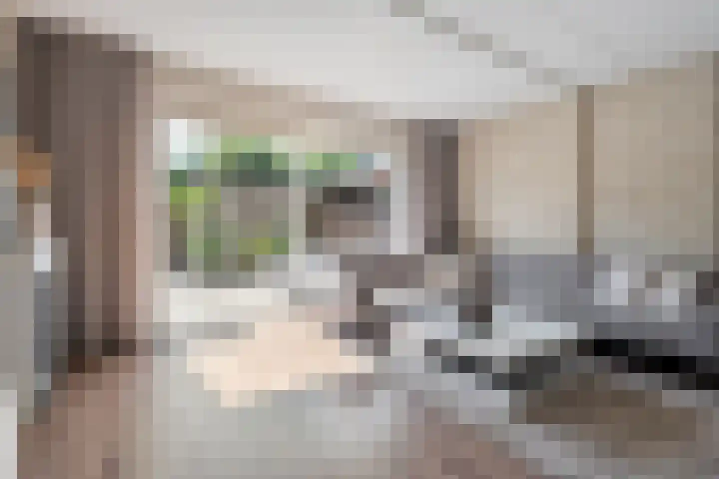 Plattenborgstraat 53 Zwolle thumbnail 8