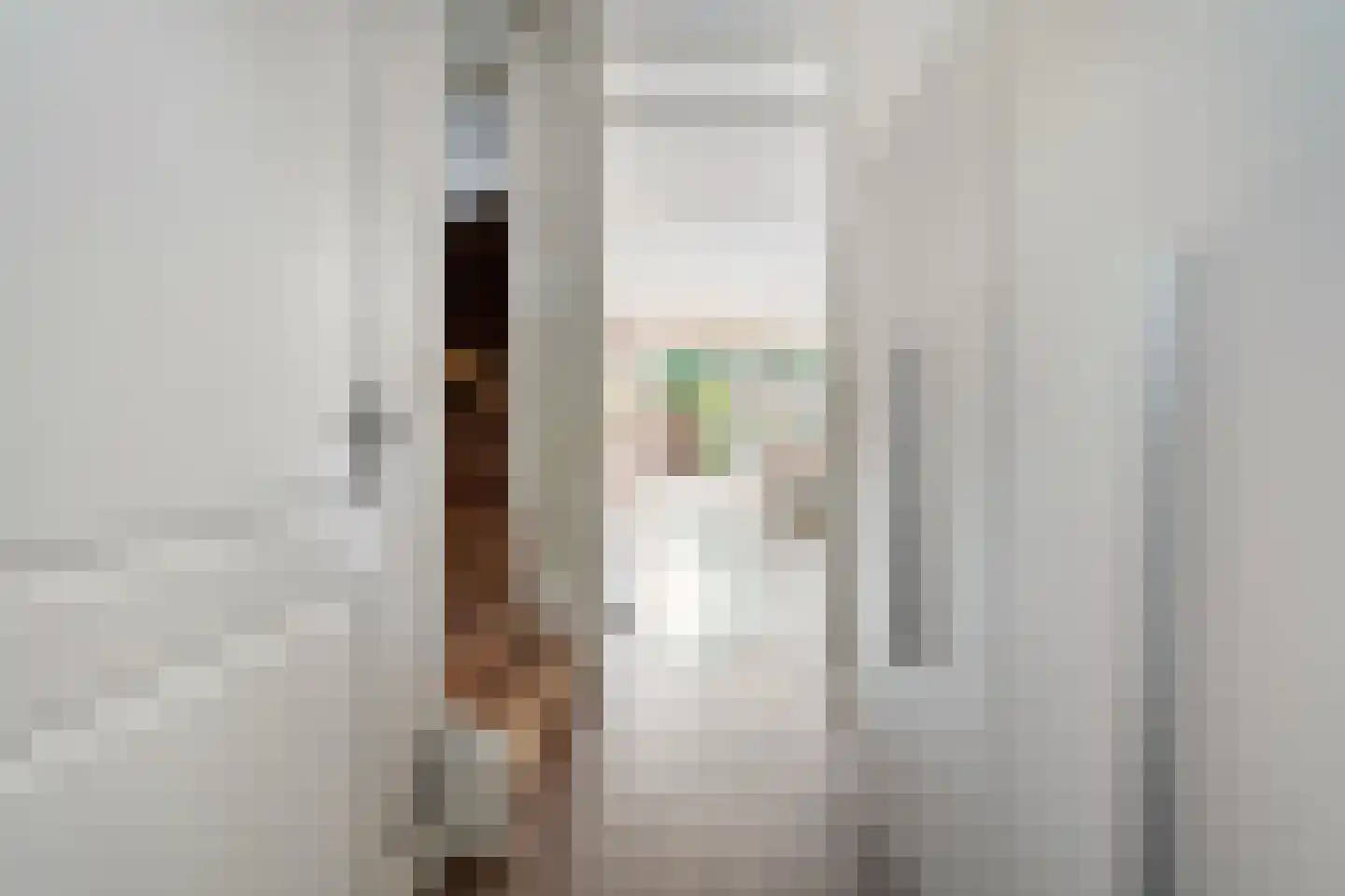 Plattenborgstraat 53 Zwolle thumbnail 8