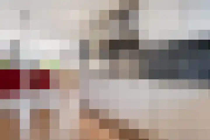 Plattenborgstraat 59 Zwolle thumbnail 11