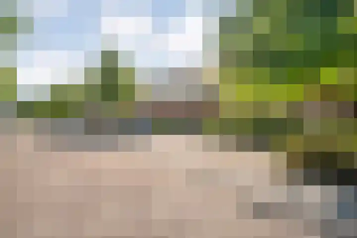 Plattenborgstraat 59 Zwolle thumbnail 32